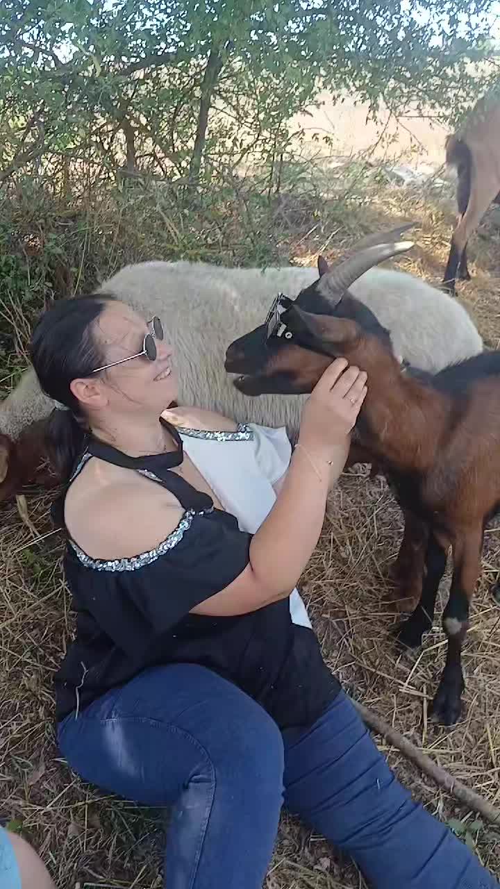 @Amato della vecchia