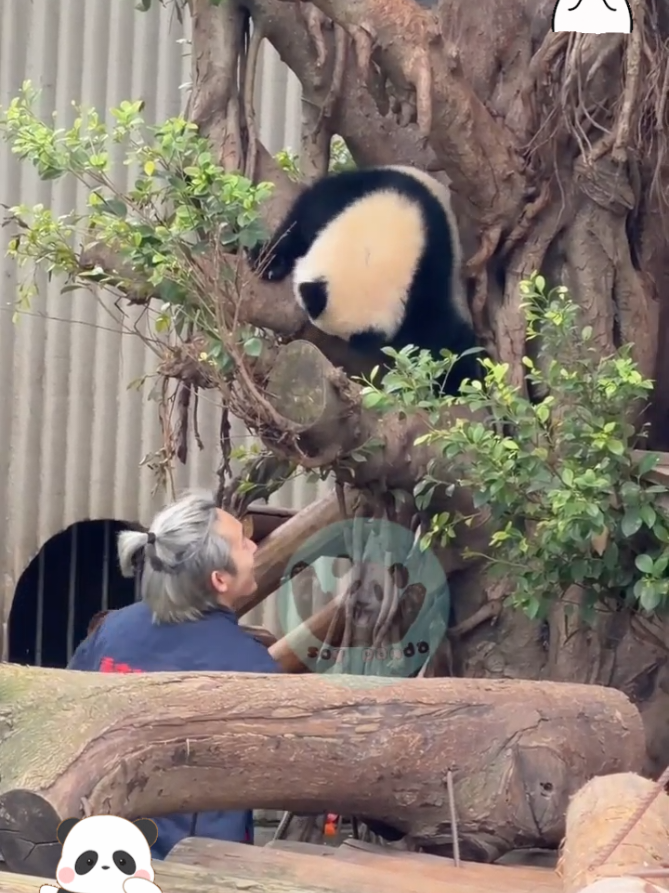 @Pandavibes