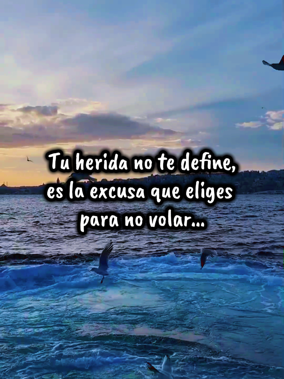 @Espacio para la calma
