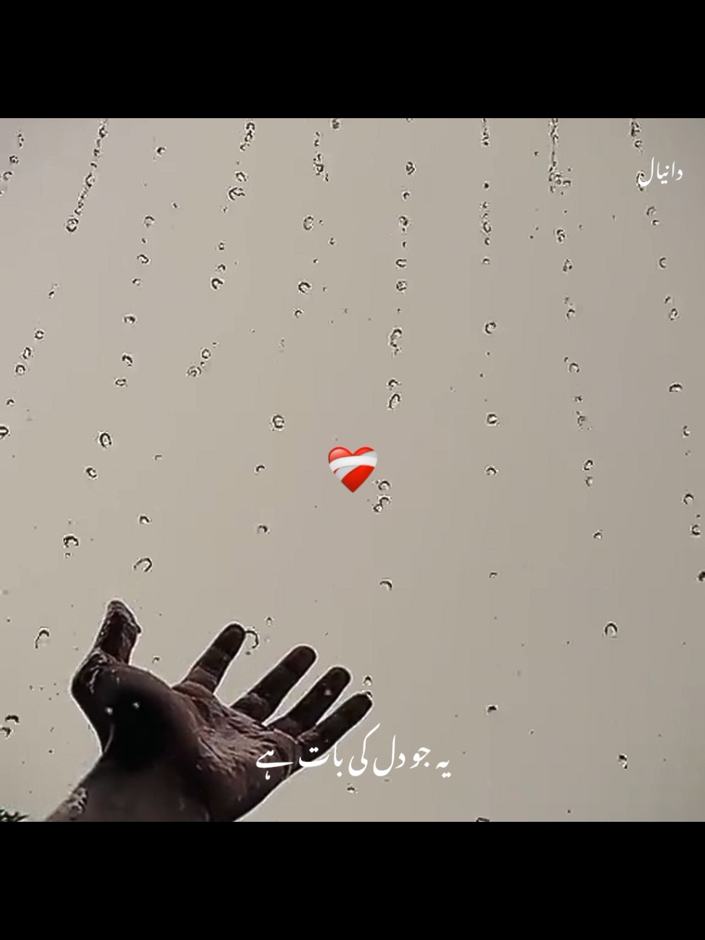 @Malik Daniyal
