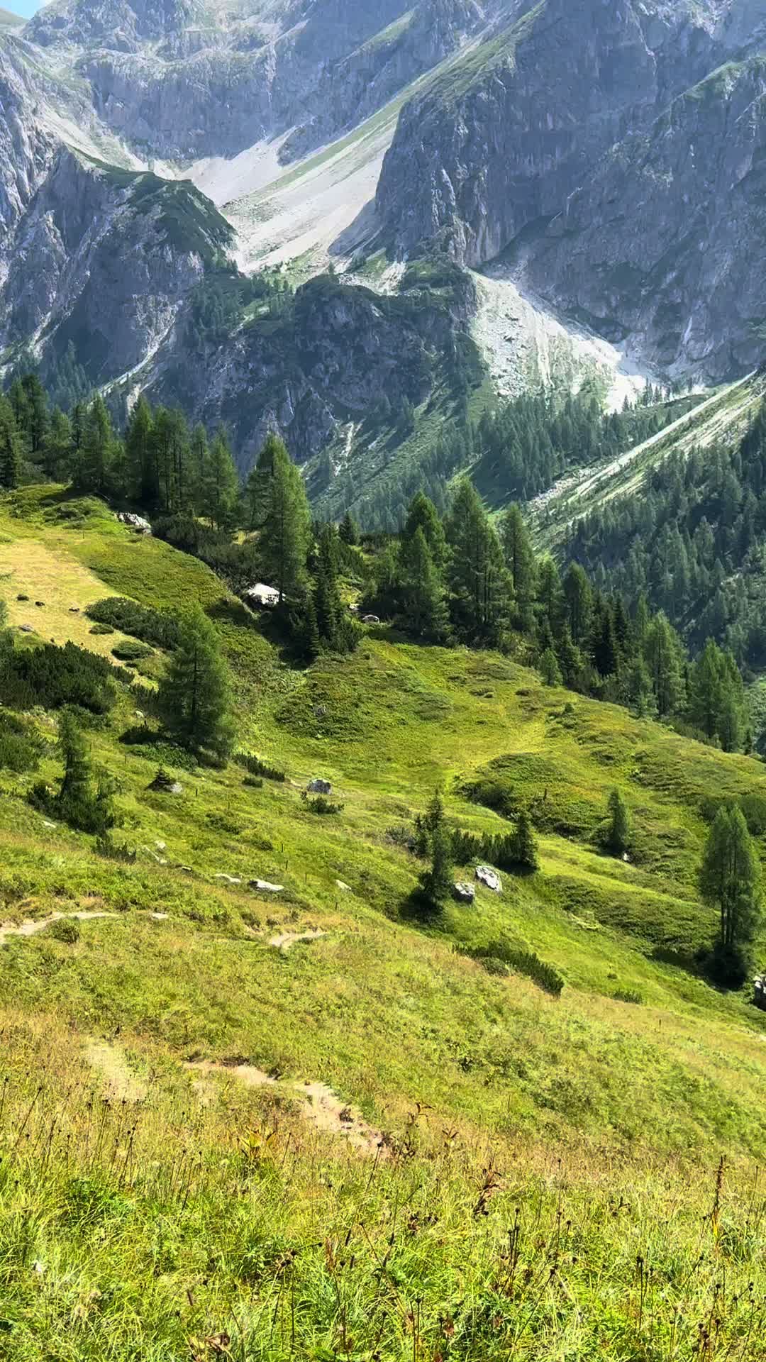 @Servustus
