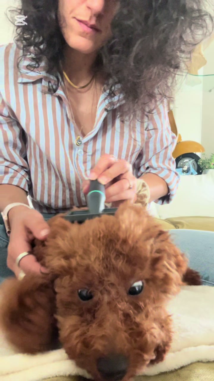 @Chiara e Rey 🐶🤎