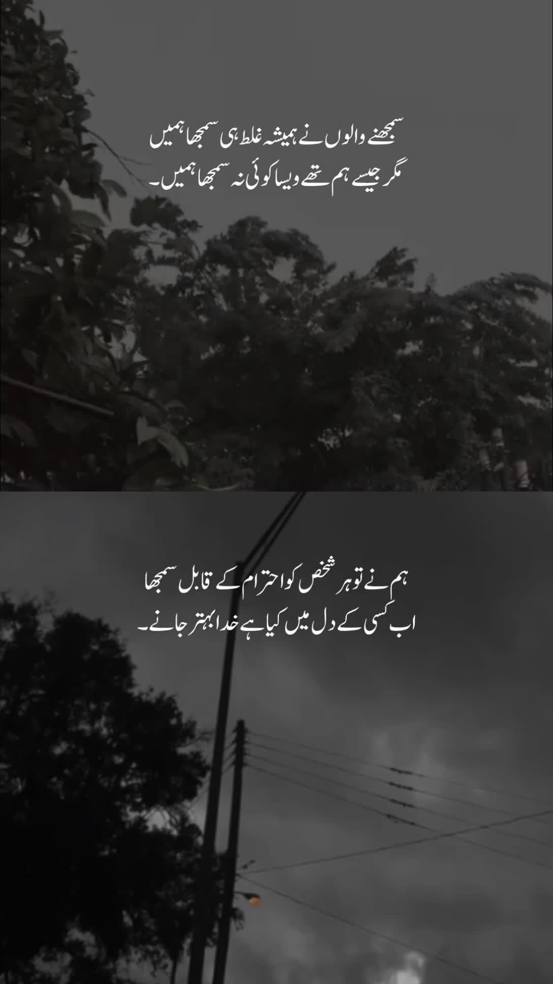 @𝐓ʜᴇ 𝐌ᴏᴏɴ🖤