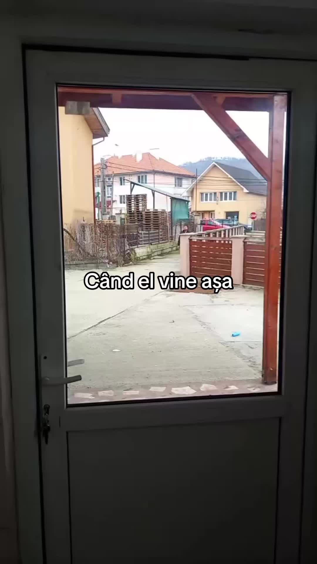 @Alisa183