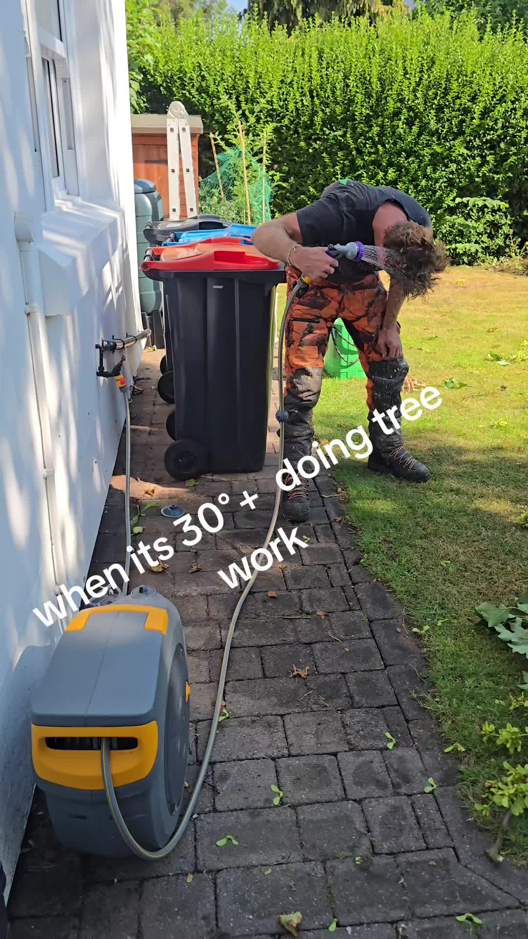 @treesportsfans