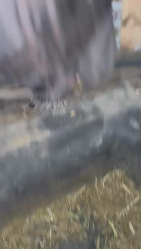 @Alfiepony