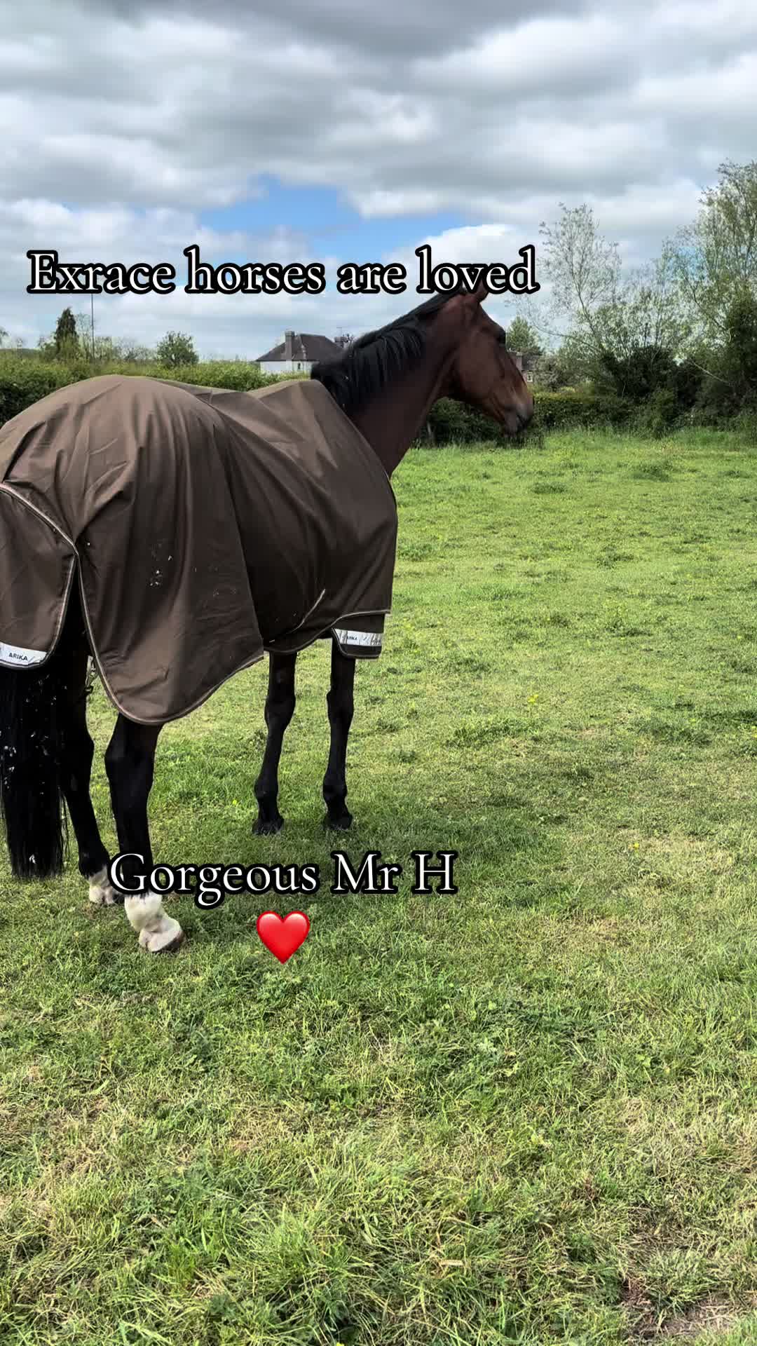 @LifewithMrH