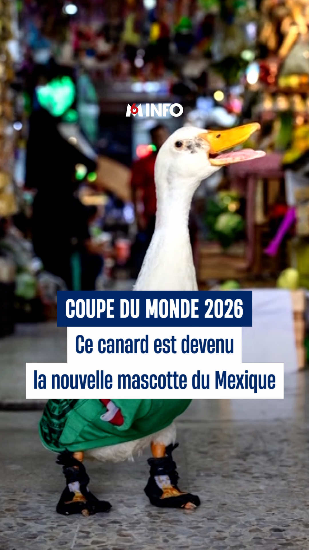 @M6 Info