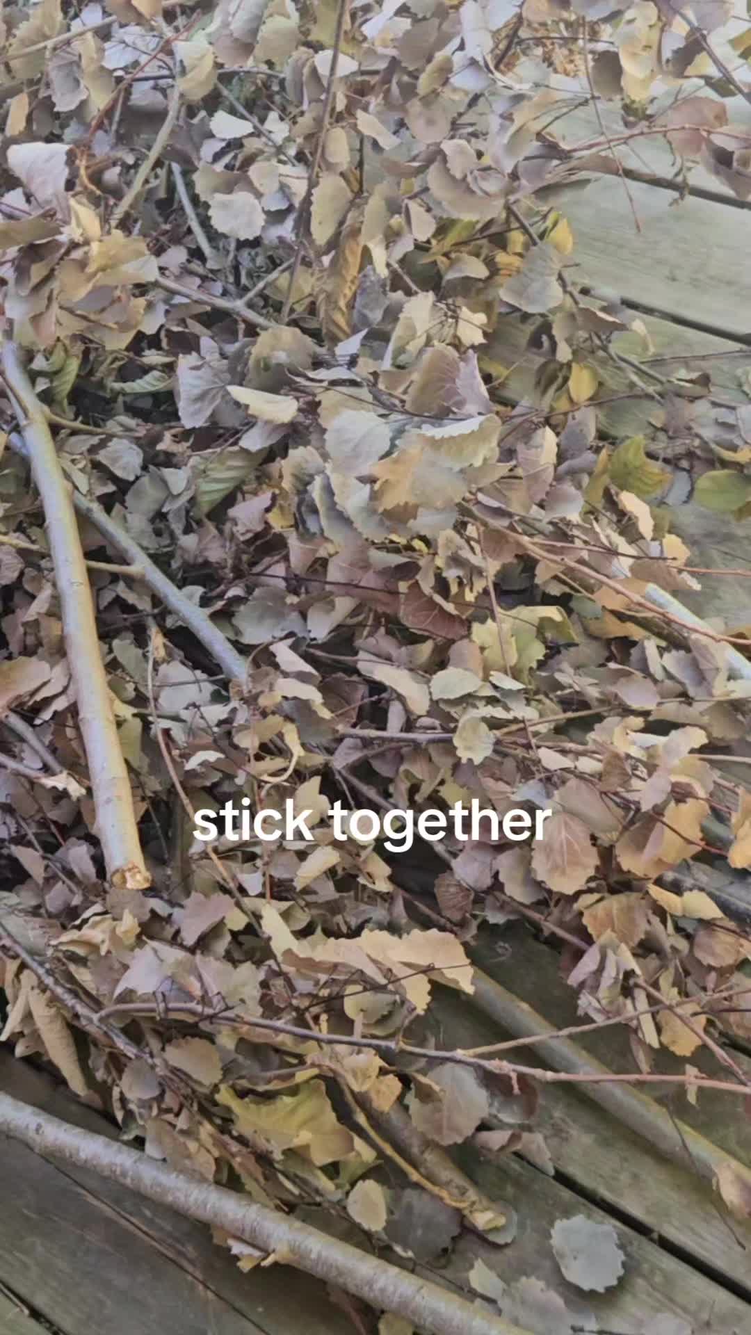 @Maya