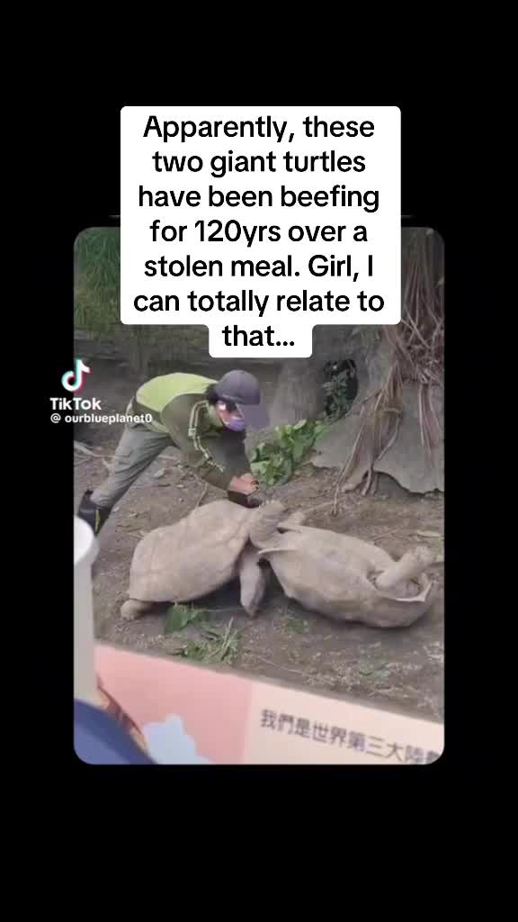 @allymc063