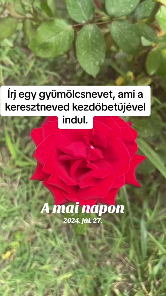 @Bizso, játssz velem naponta