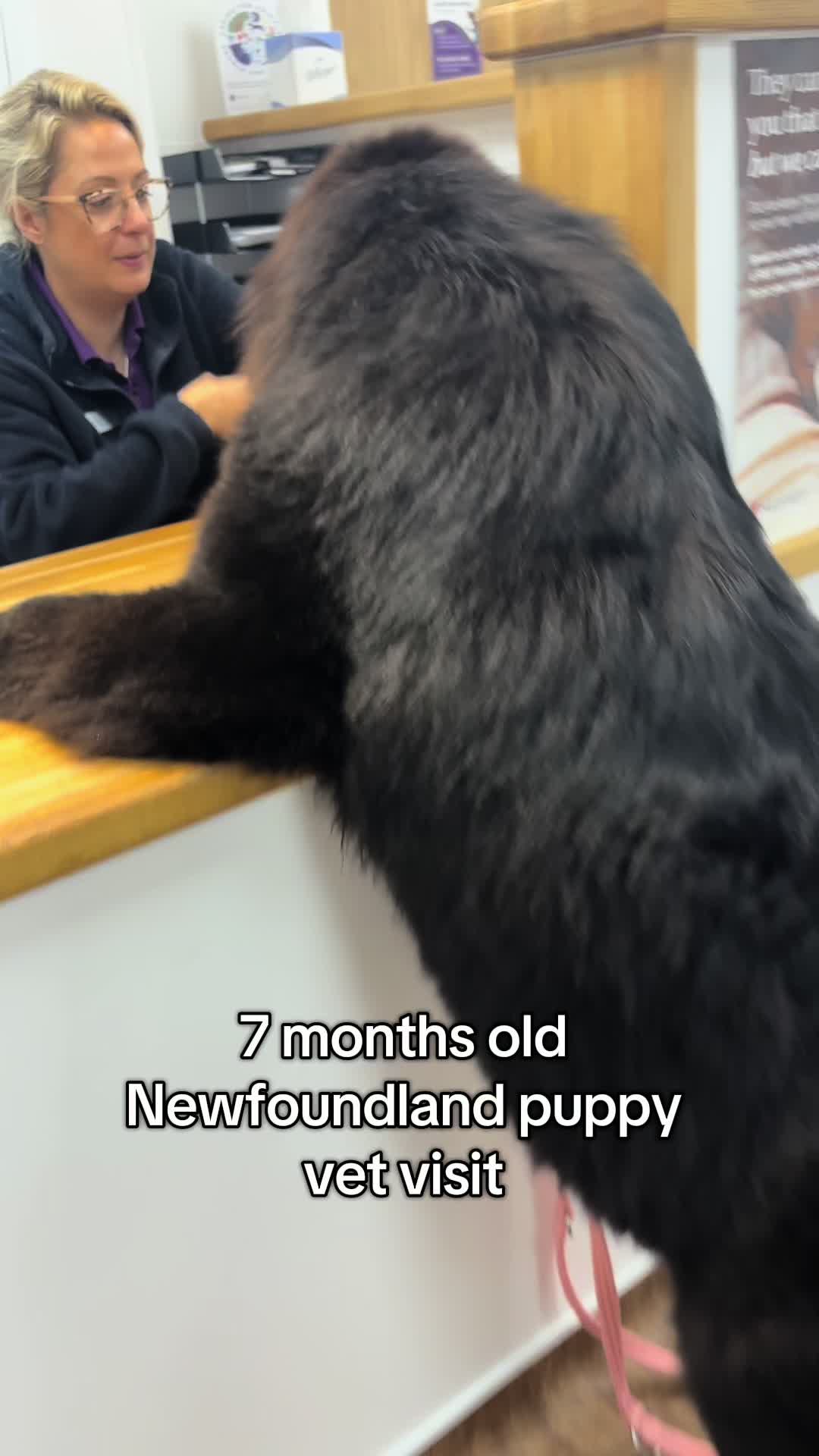 @Newfypups