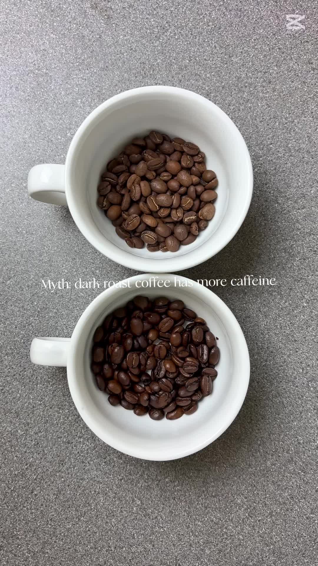 @Velo Coffee Roasters