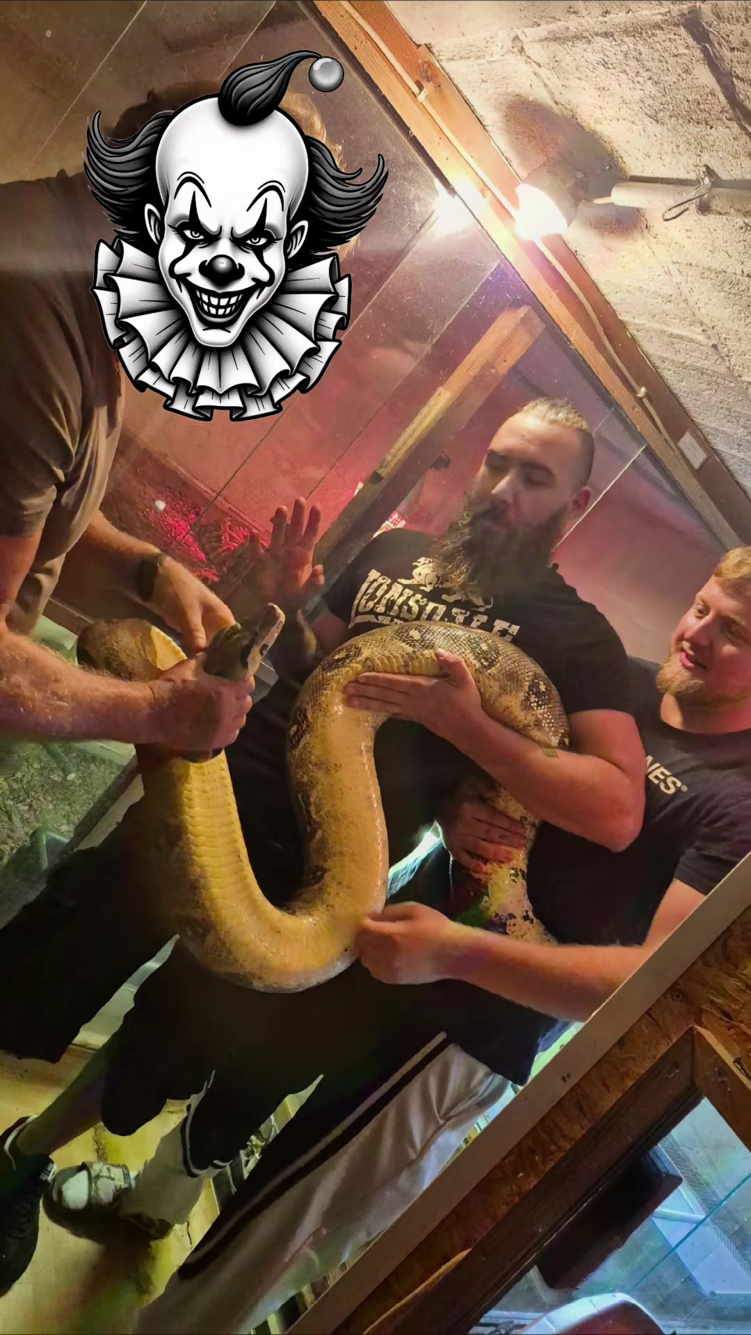 @jurassiczoo