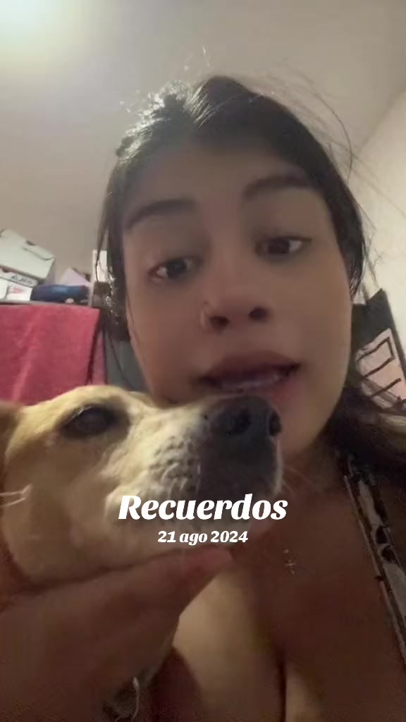 @Estefany Miranda