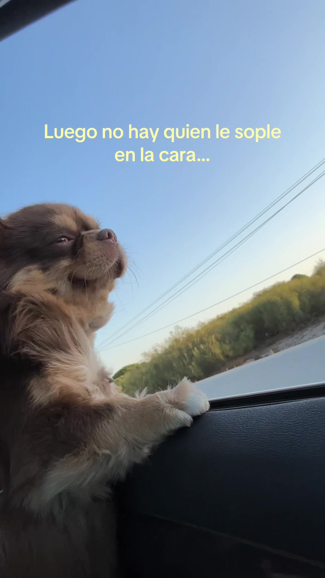 @Olga Catena