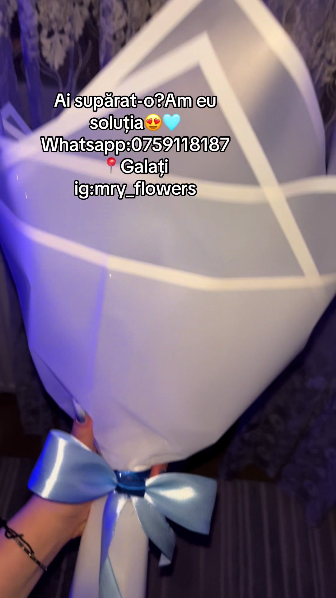 @๐๐ป๐๐ฆญ