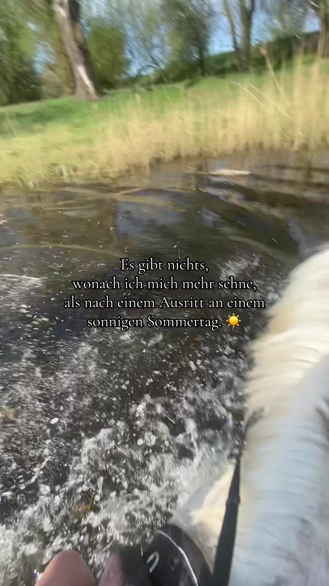 @show.jumper_speedy