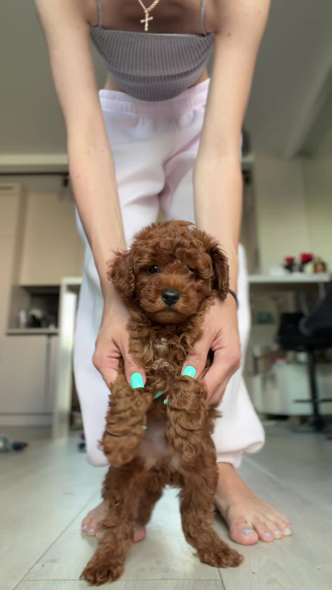 @Royalpuppy.world