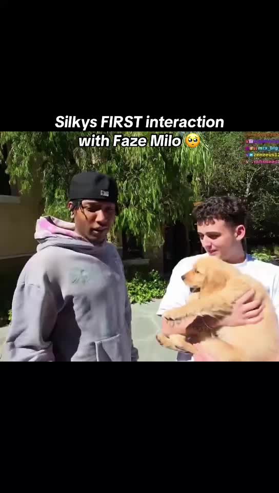 @InfluencerMoments