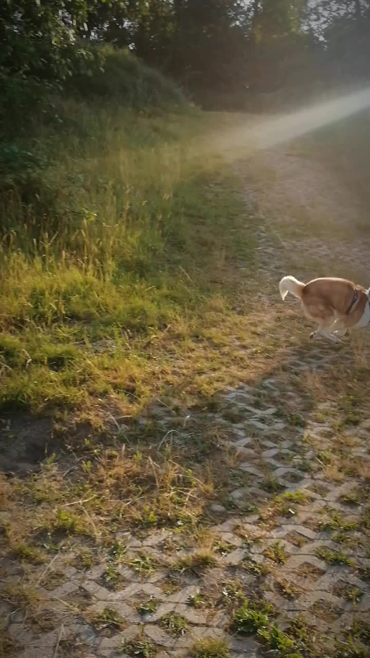 @Dennis L&ouml;cker