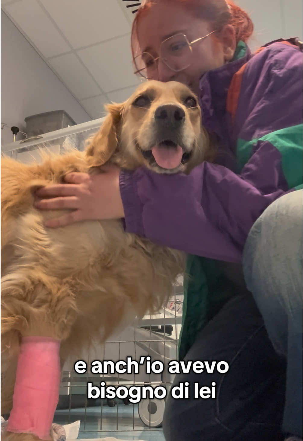 @vaccapower