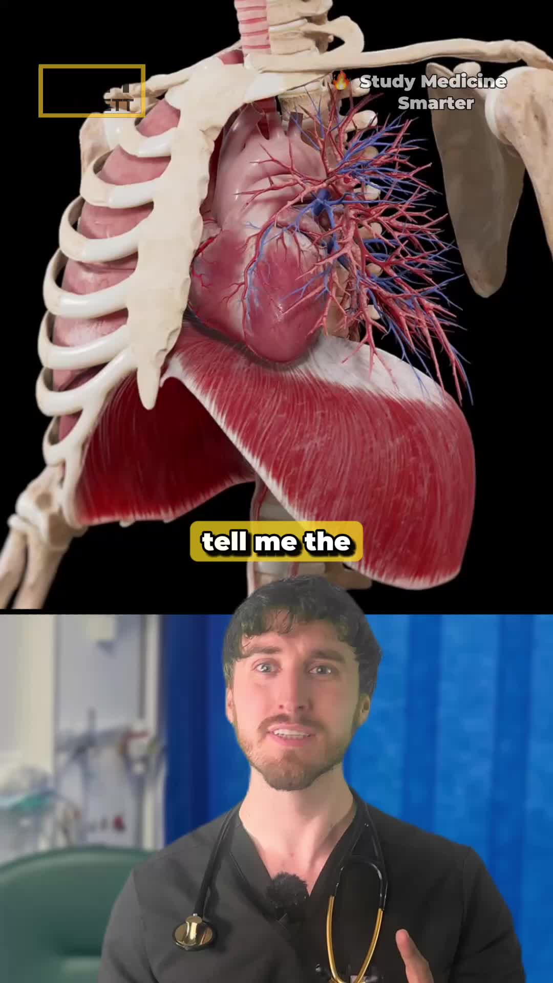 @Dr Matt Barrett