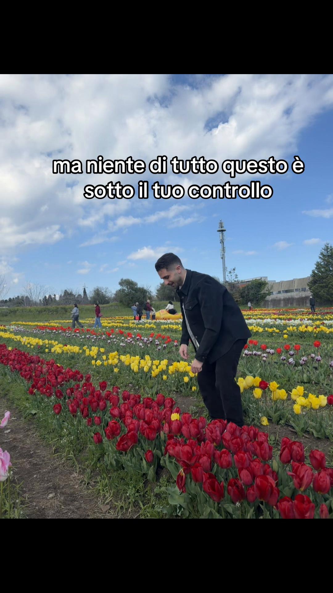 @Cosimo D'Alessandro