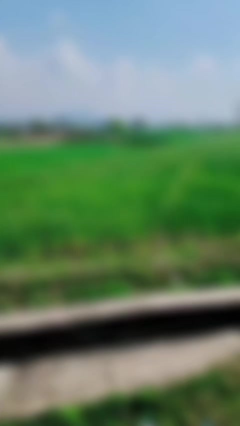 @Tariq khan 324