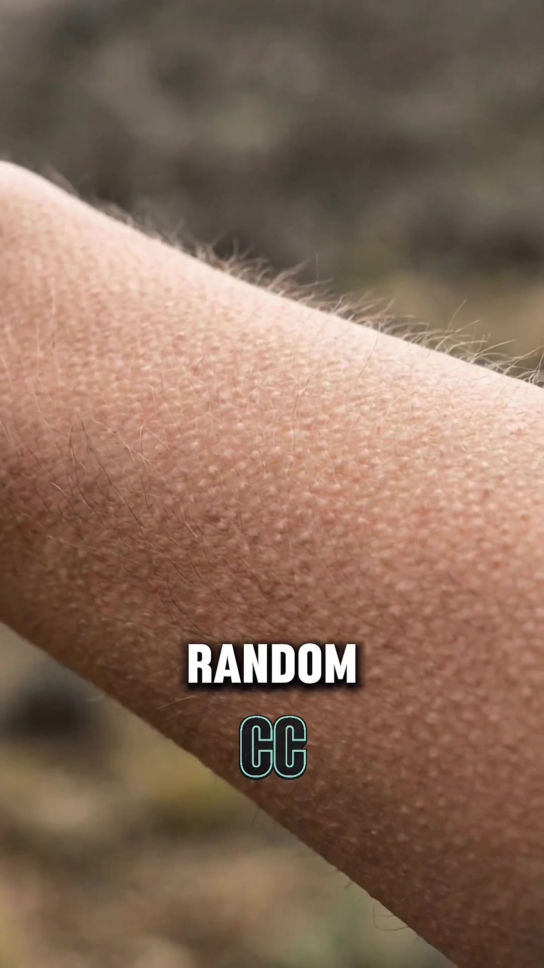 @Cool Clips