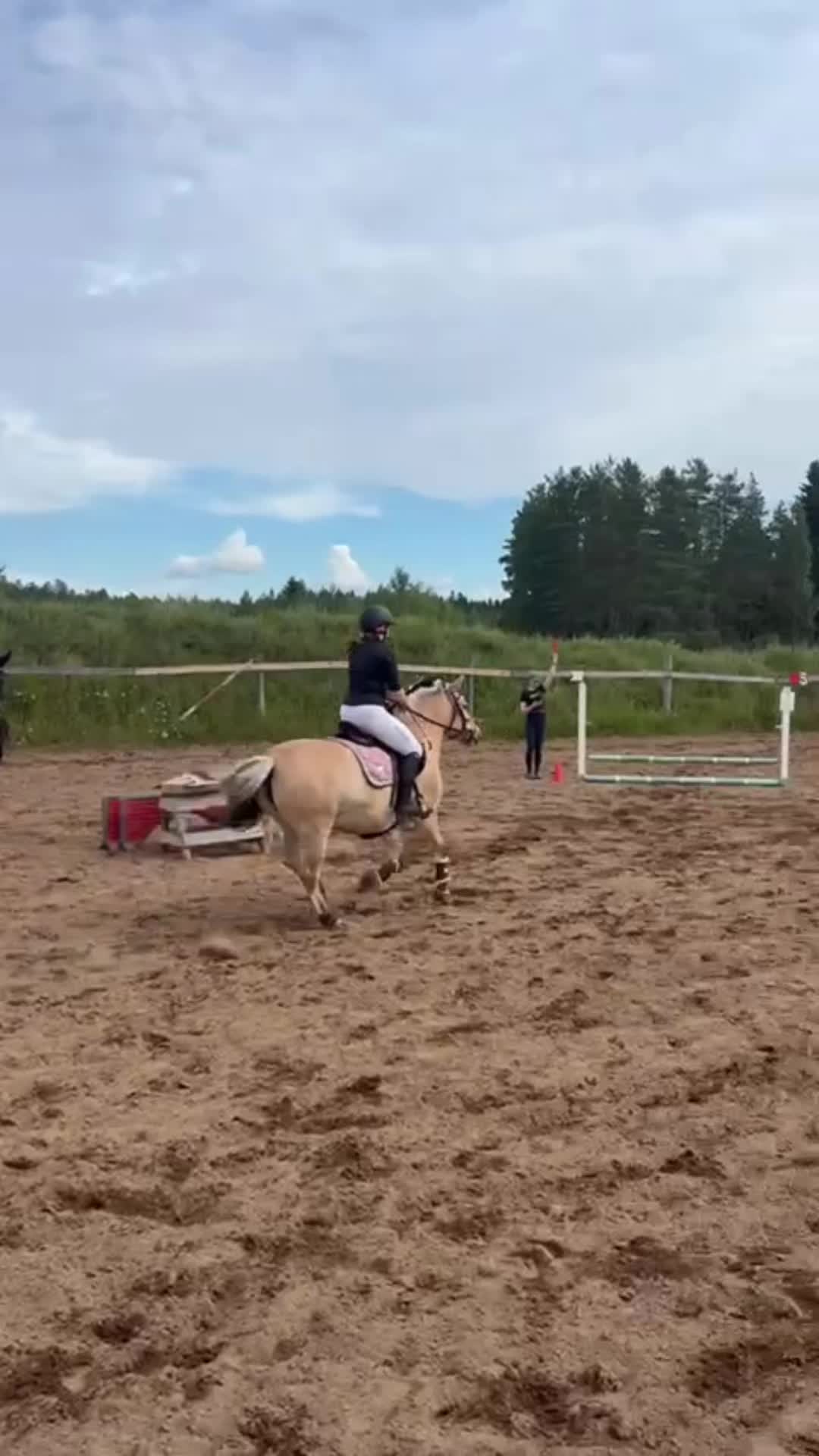@🦄🦄