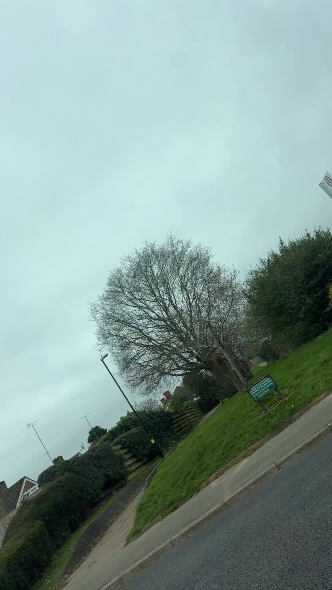 @rajaali_x