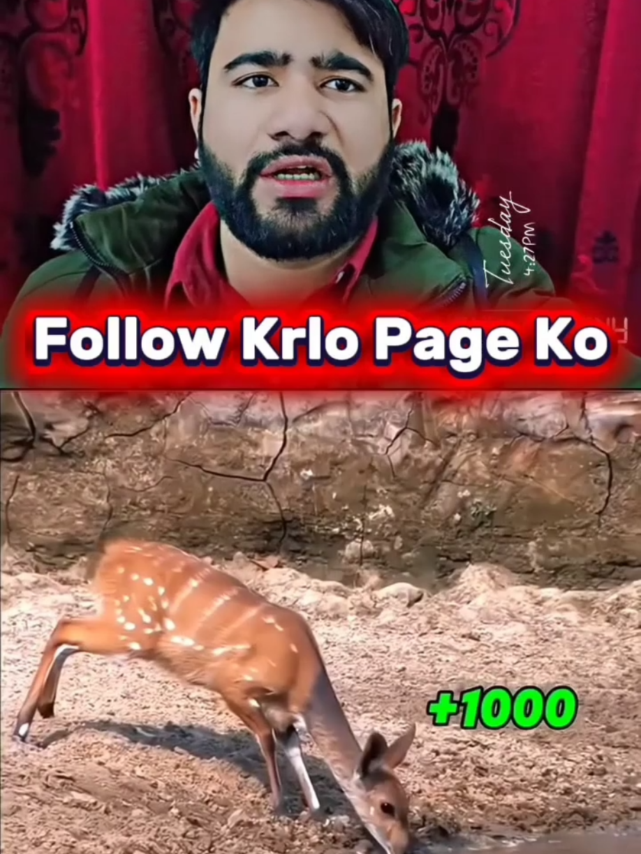 @manoreacts