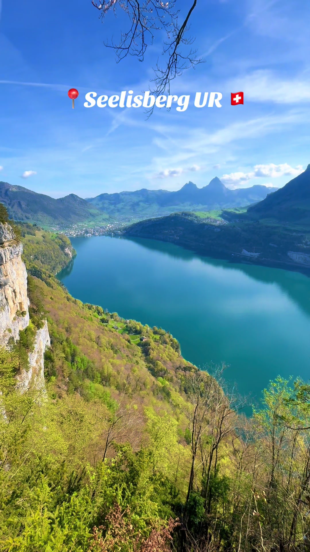 @swiss_alps