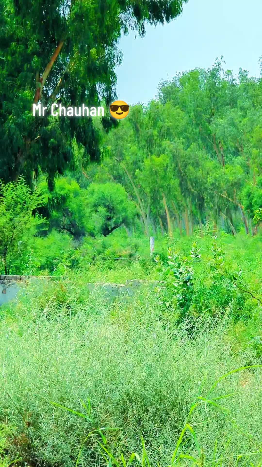 @Mr Chauhan 😎