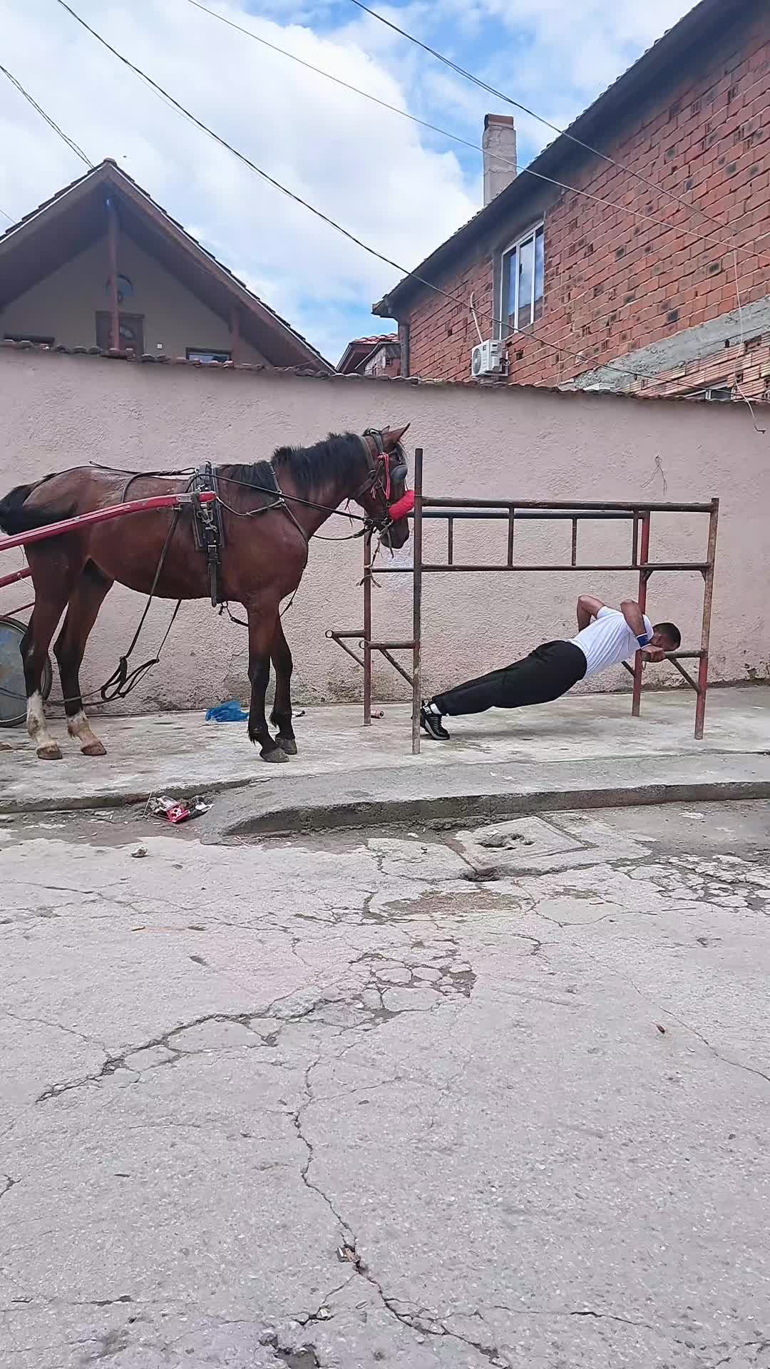 @Raşit Sultana çok sever