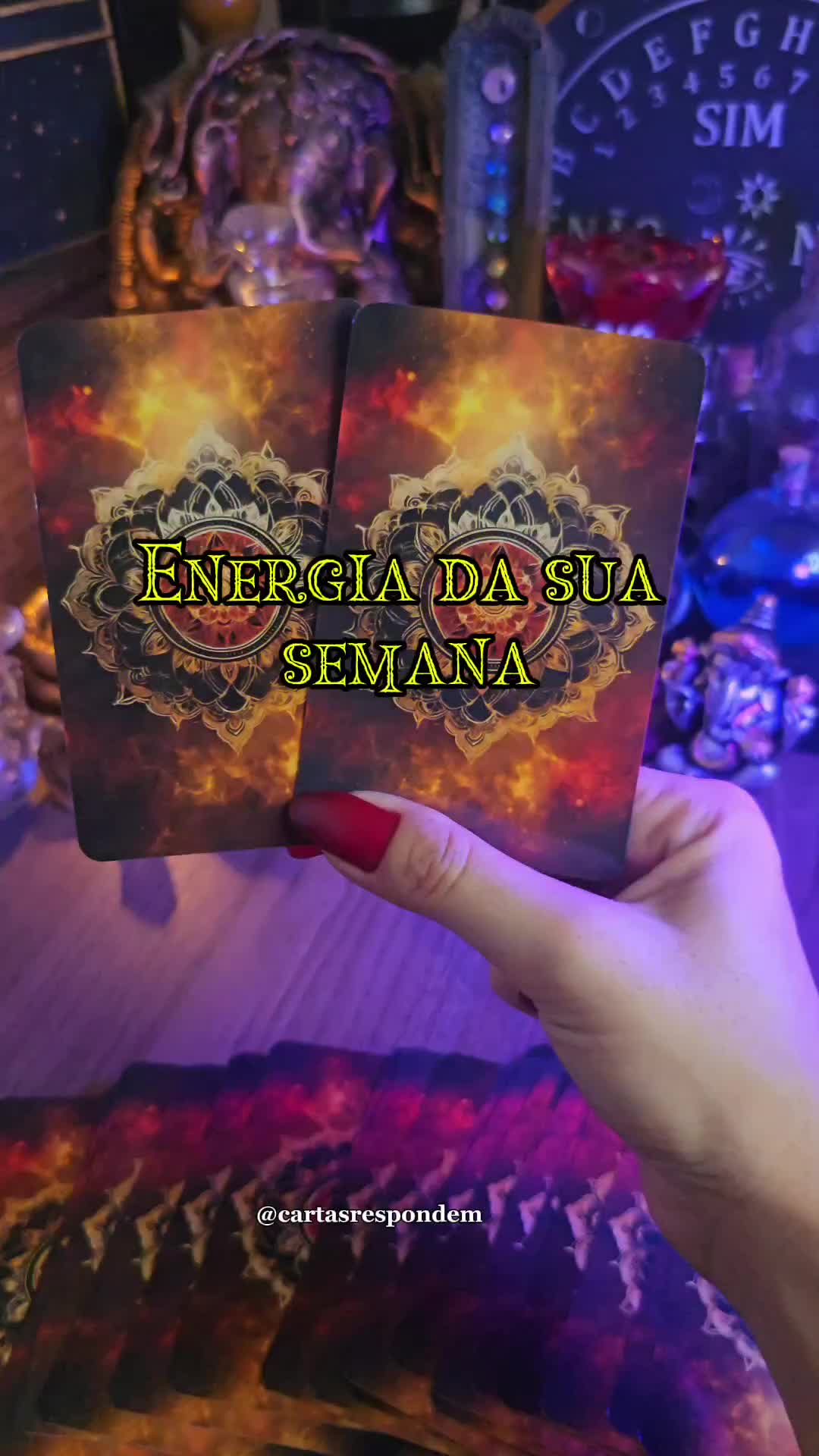 @D&eacute;bora Barbosa/tar&ocirc;