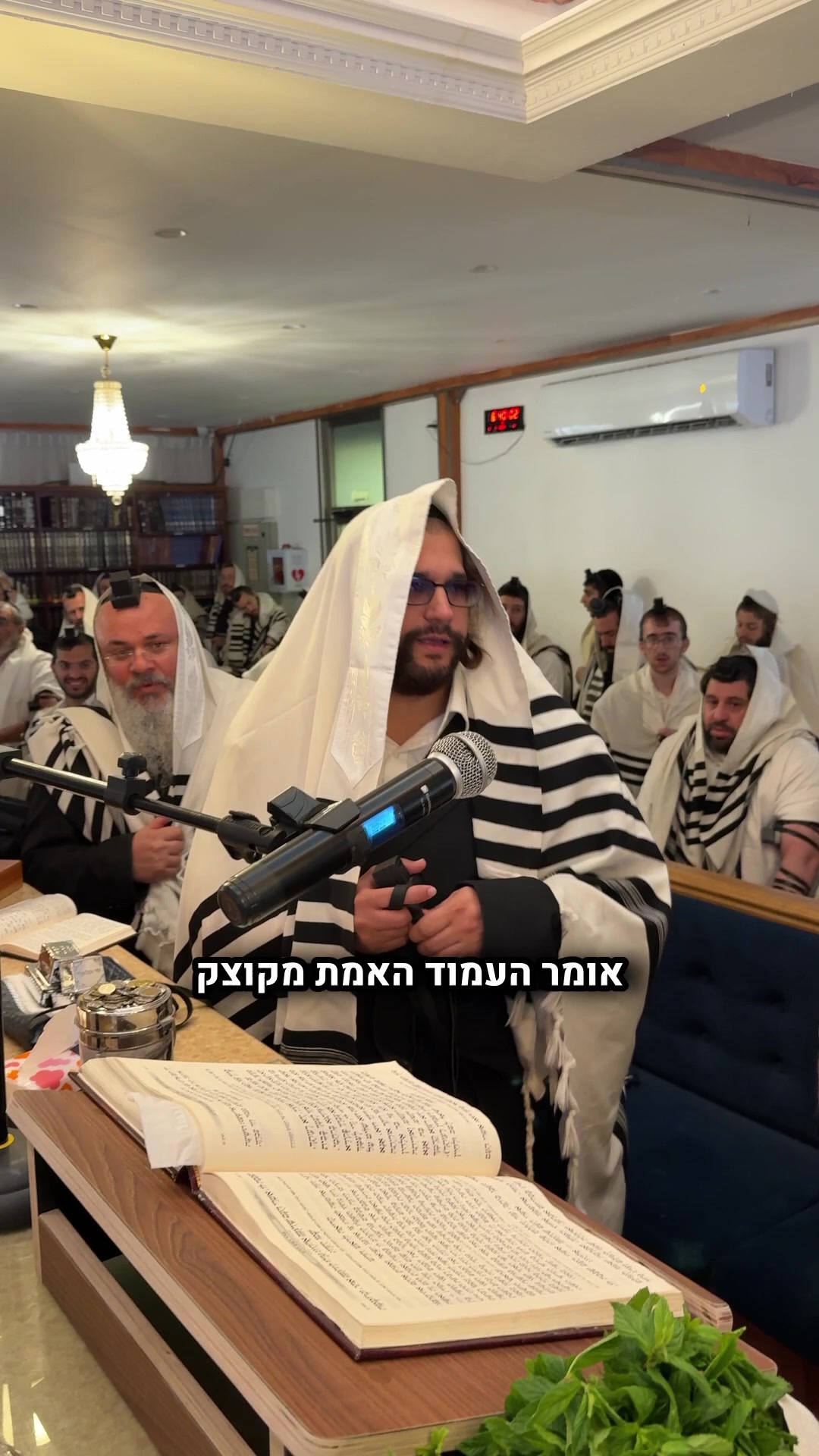 @הינוקא העמוד הרישמי