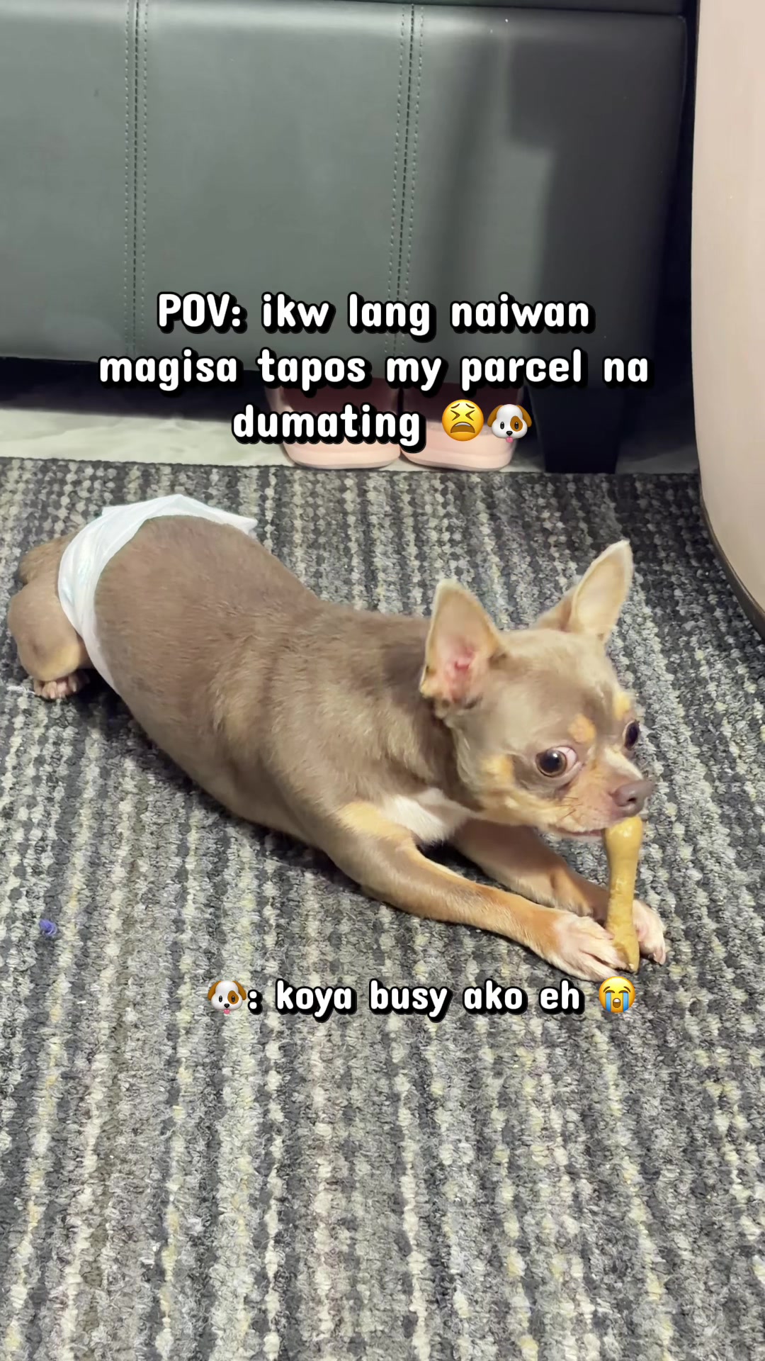 @🧿✨️Sallybebs✨️🧿