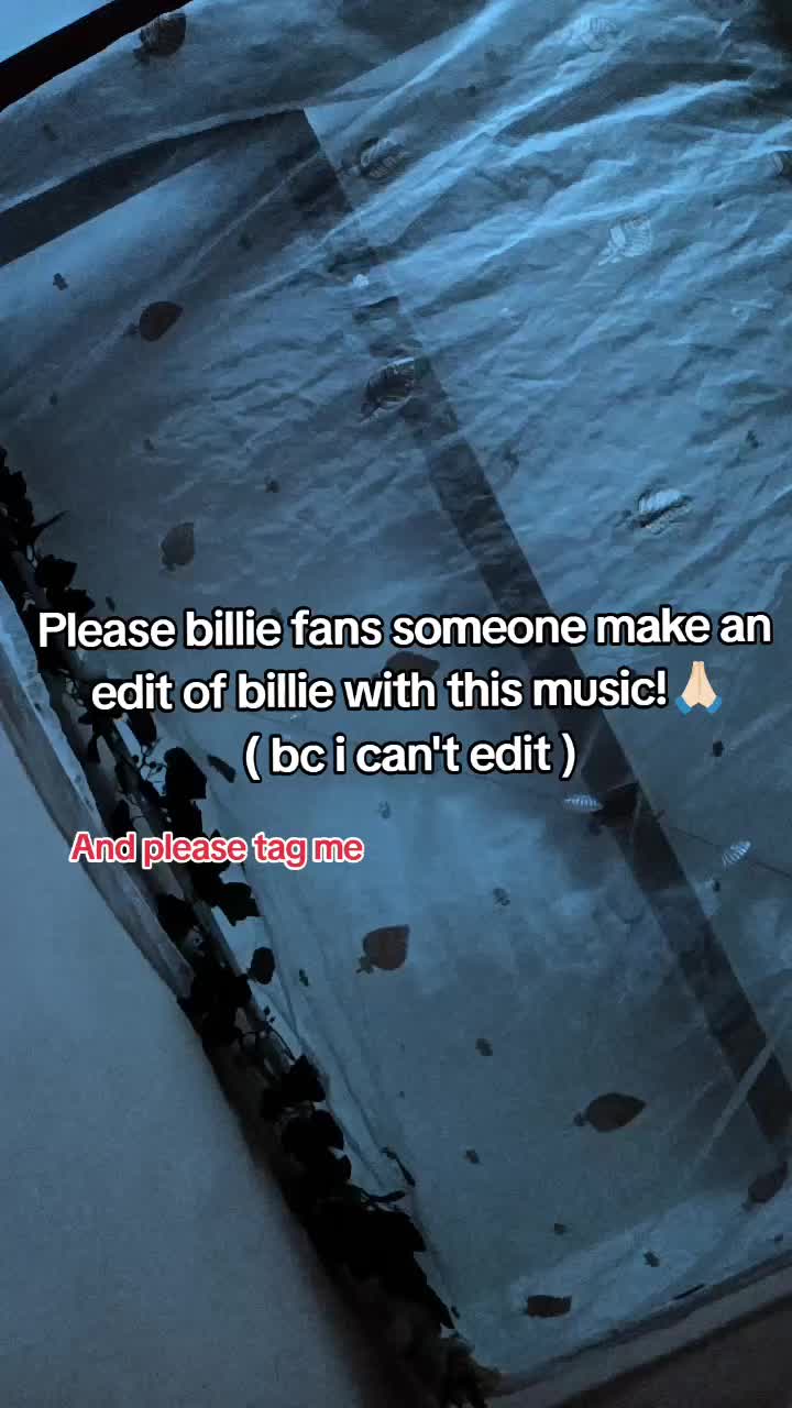@🥑BillieEilish🥑