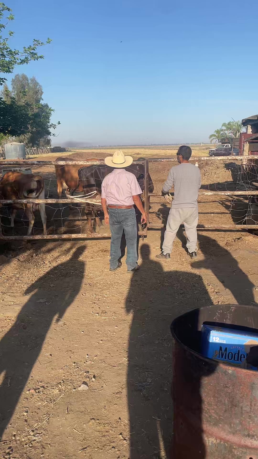 @gRuben tapia