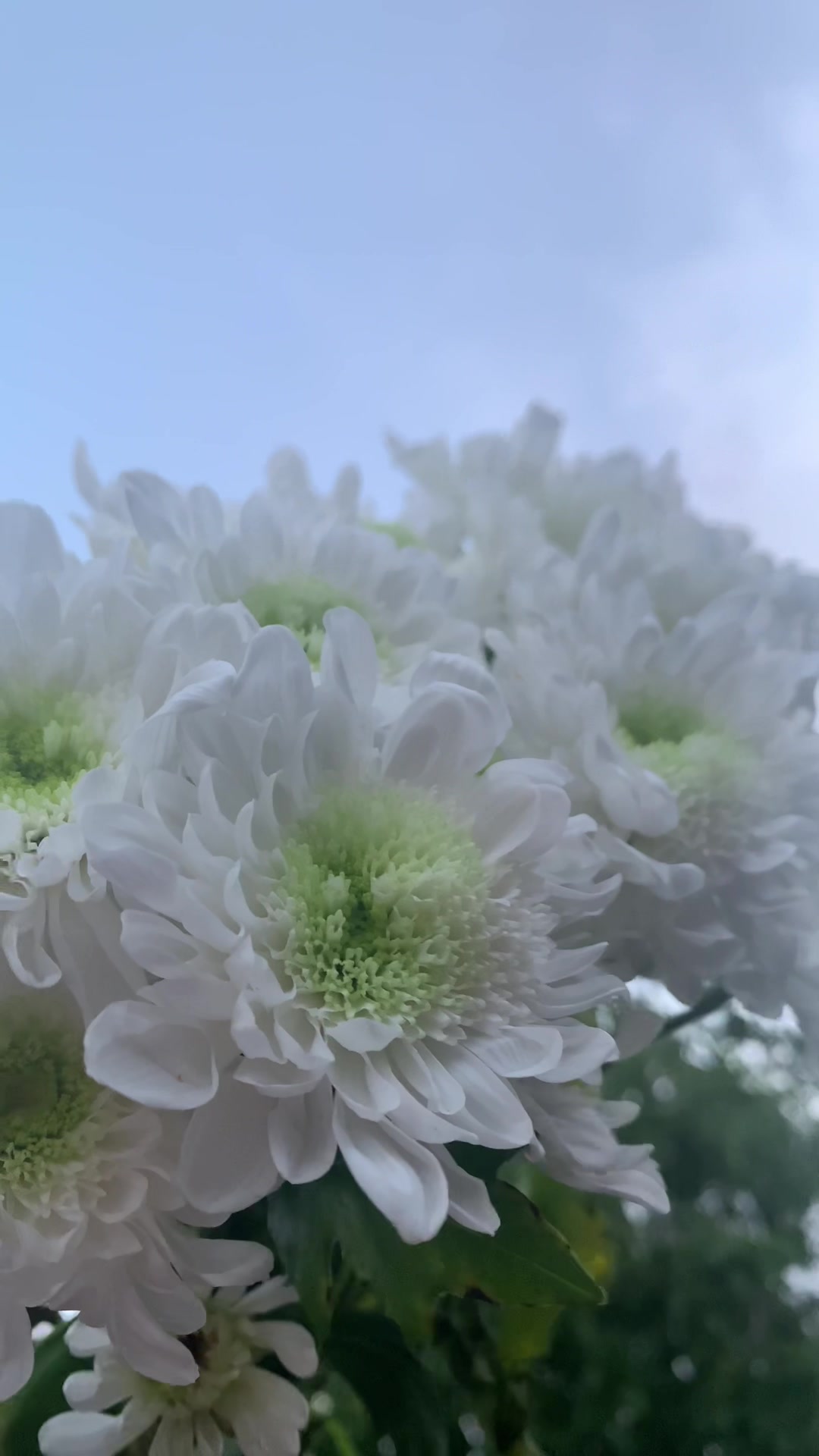 @silent123_silent