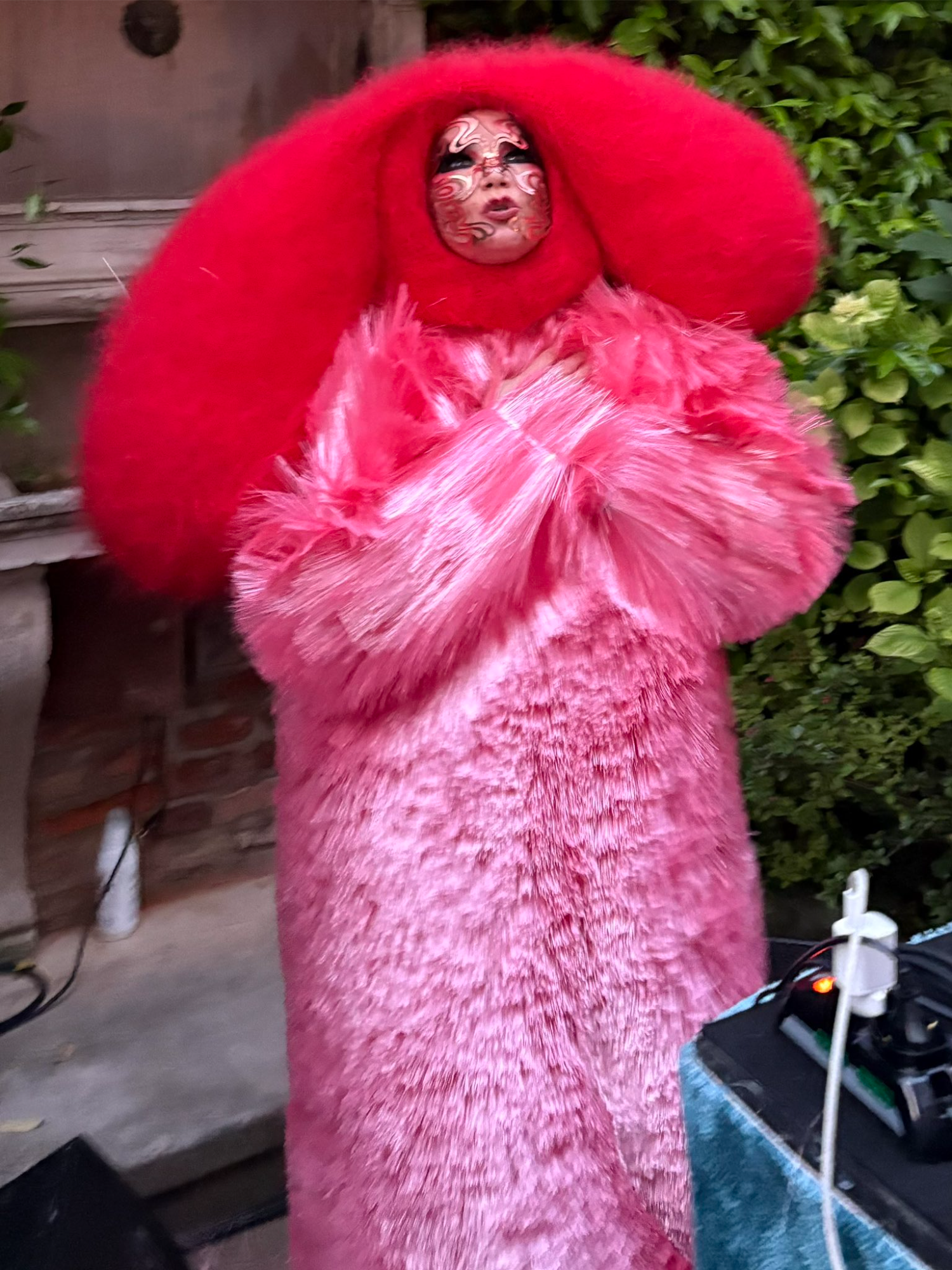 @björk