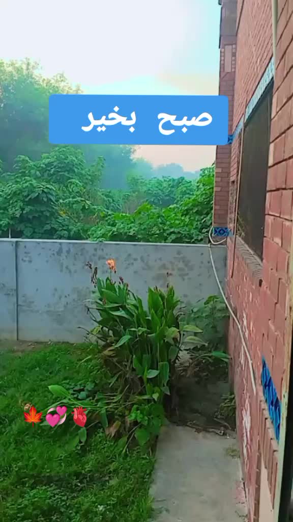 @راجپوت 🚩🍁