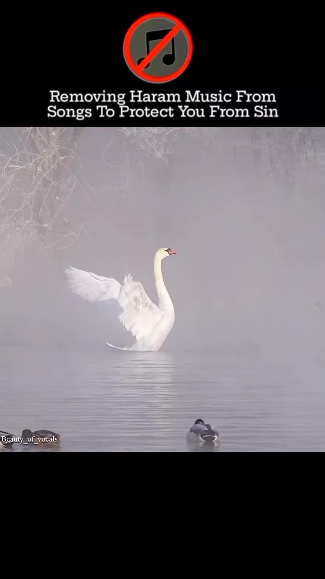 @𝐁𝐞𝐚𝐮𝐭𝐲_𝐨𝐟_𝐕𝐨𝐜𝐚𝐥𝐬