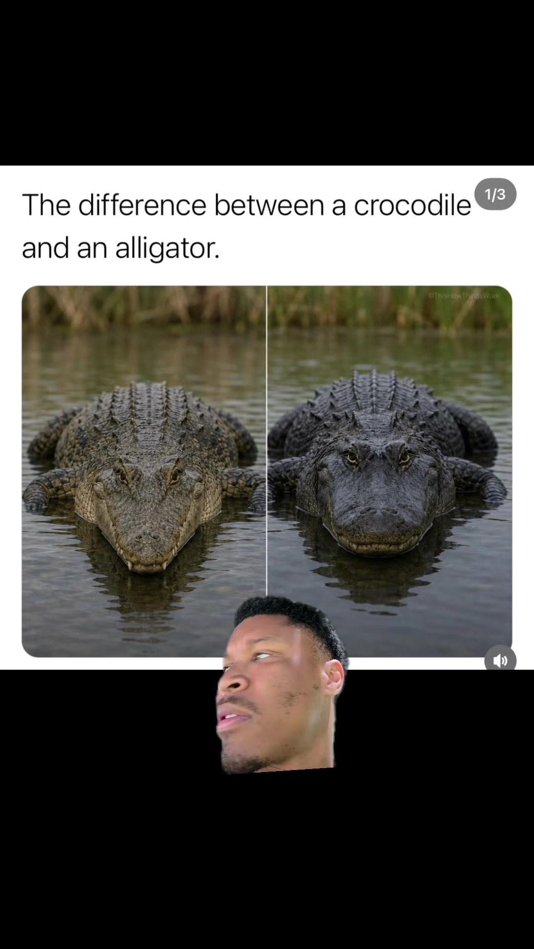 @padawggg