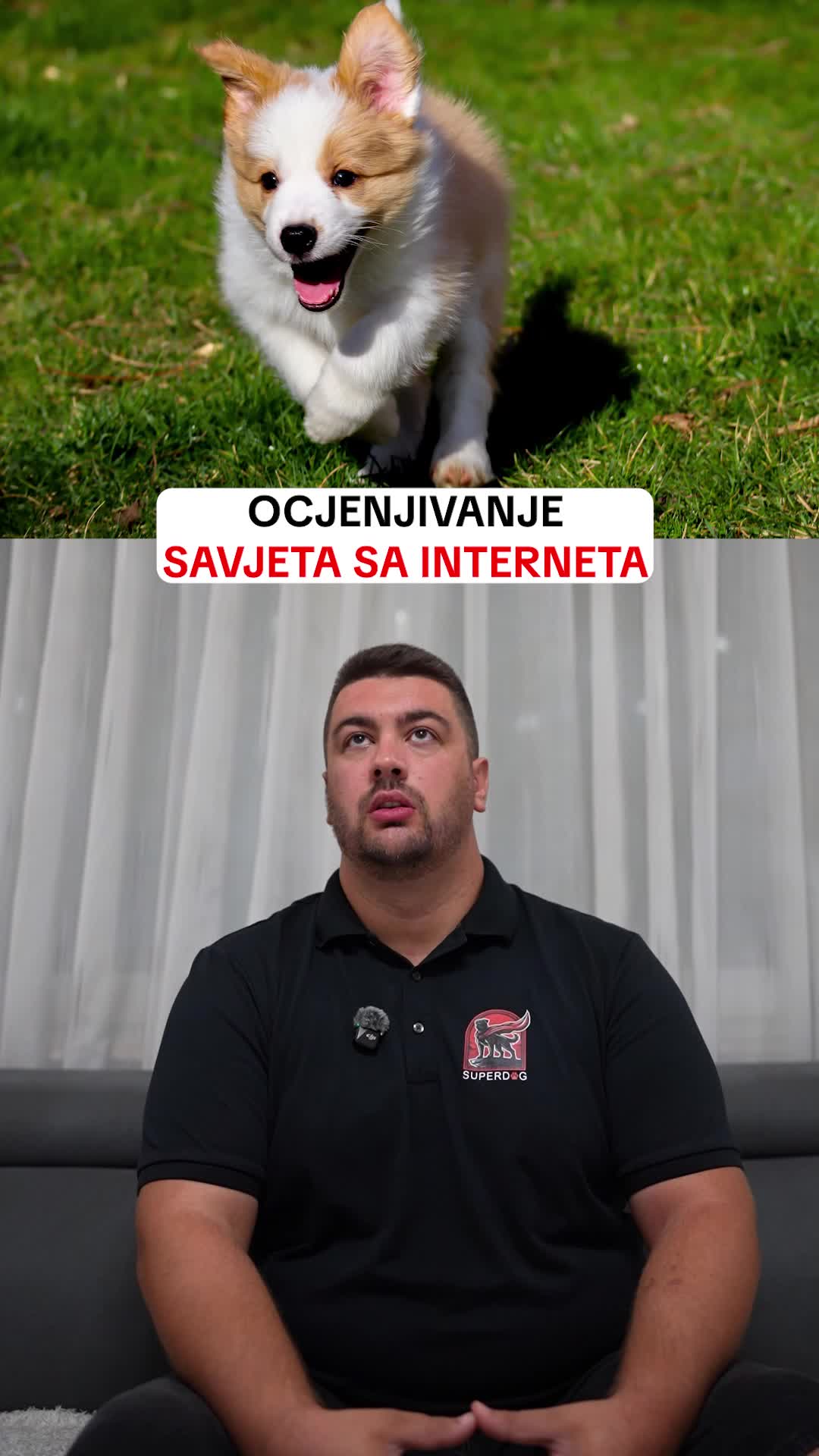 @superdog.akademija