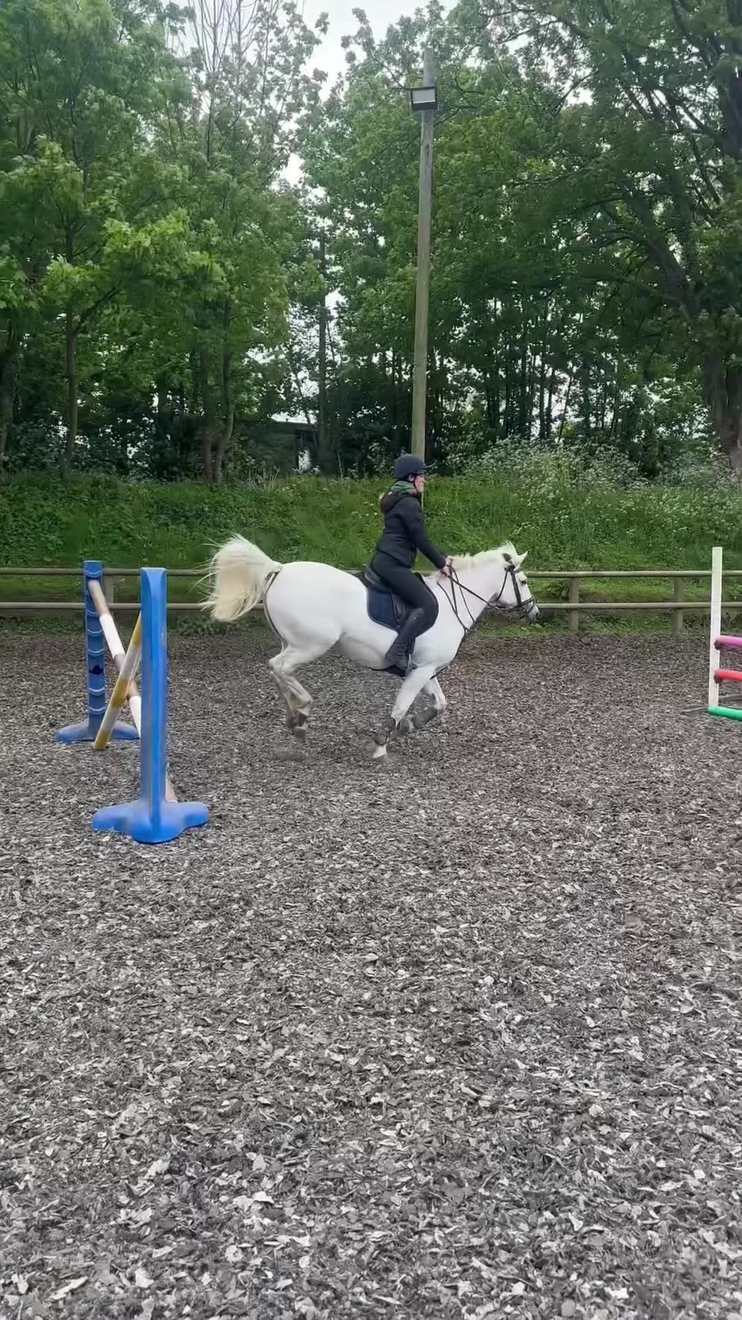 @amelia_showjumping2