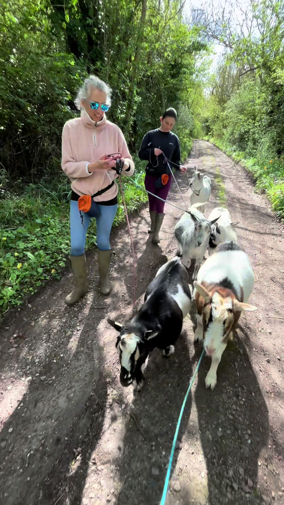 @GiddyAboutGoats