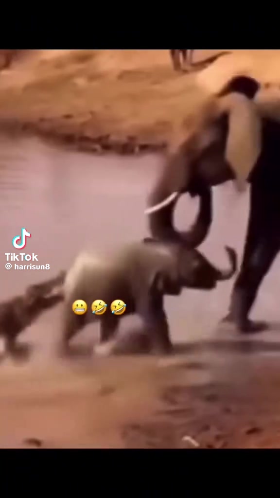 @FOLLOW4FOLLOW